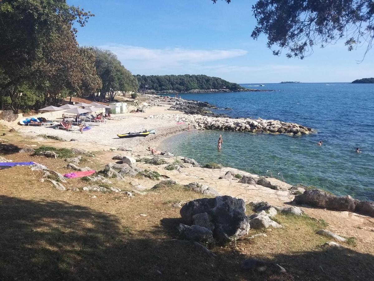 Alba Sanja I Teran Daire Funtana Dış mekan fotoğraf